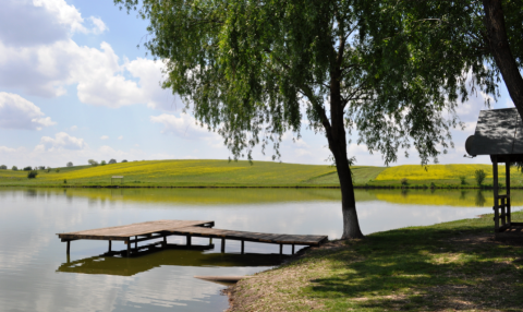 Greaca 9-11 mai Cupa Tarom ed.a 6-a - 2.png